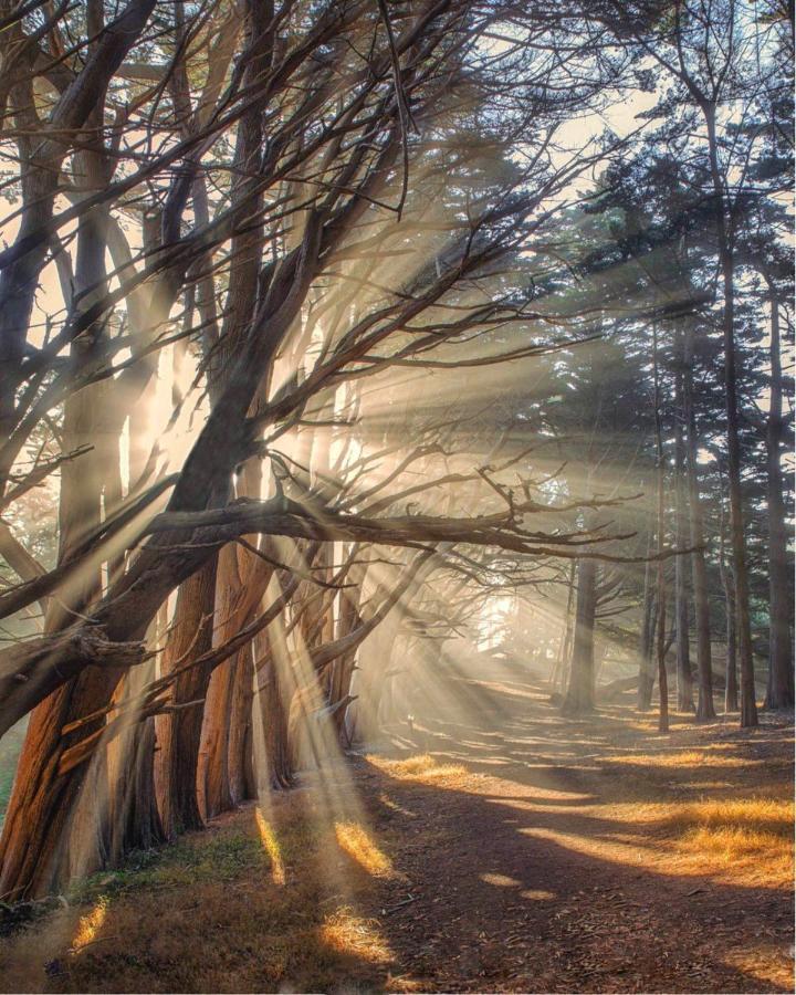 Stunning Oceanview Coastal Home Beach Trails Family Activities Montara Exteriör bild
