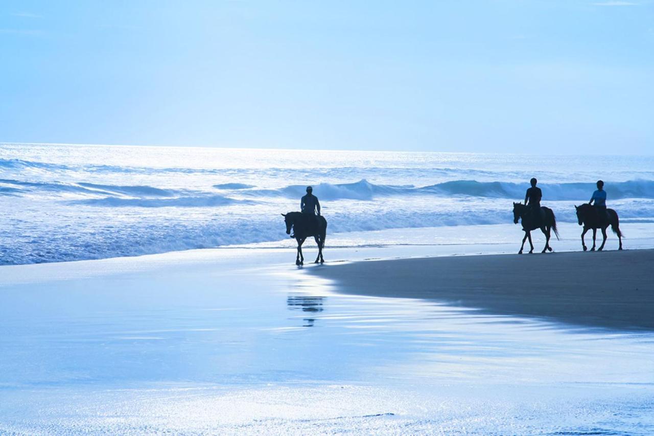 Stunning Oceanview Coastal Home Beach Trails Family Activities Montara Exteriör bild